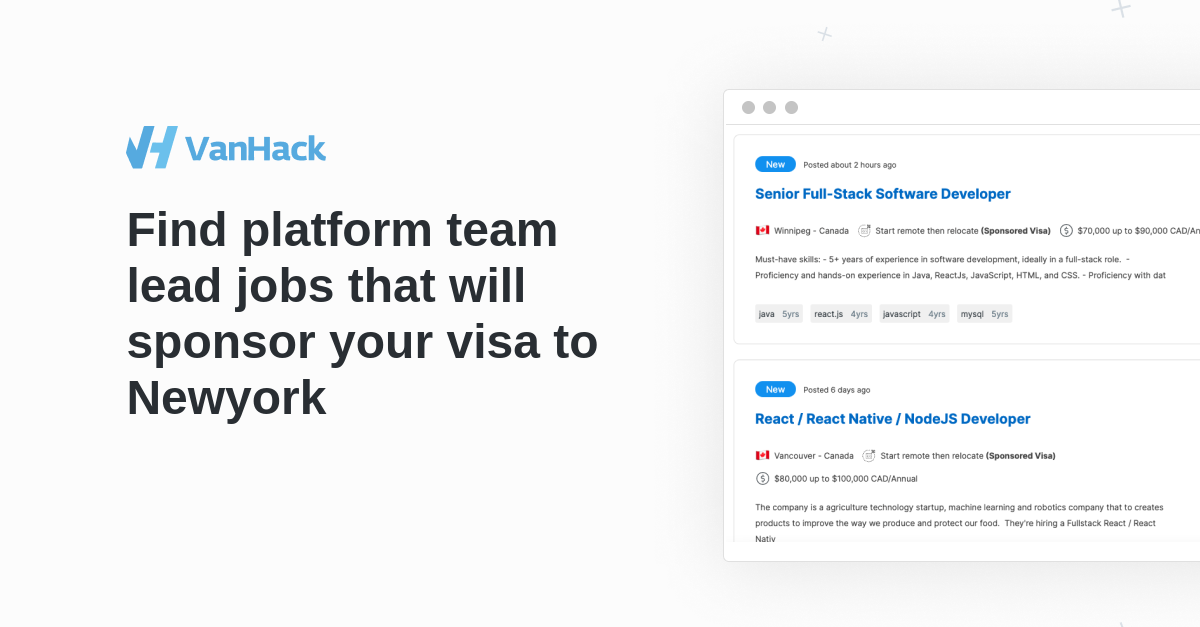 Platform Team Lead Jobs In Newyork VanHack